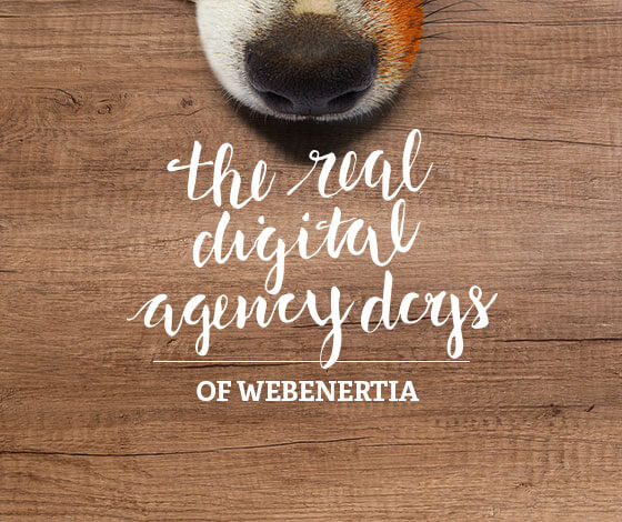 The Real Digital Agency Dogs of Clear Digital